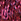 bright pink/multicoloured
